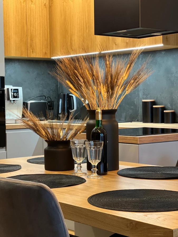 Family & Business Elegant Apartments, Kadzielnia, Wdk, Stadion Korona -1 Bedroom, Terrace, Garage, New! Kielce Extérieur photo